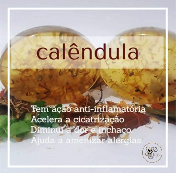 sabonete translucido de calendula